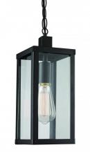 Trans Globe 40756 BK - 1LT HANGING LANTERN-DOWN-SML-B